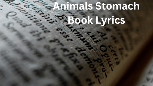 Animals Stomach Book Lyrics